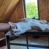 244663508_10221011615142959_1234309090680464134_n