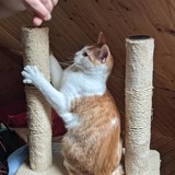 244689737_10221011607622771_8182926329497508935_n