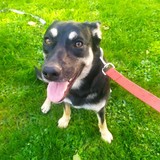 244742901_4655773051156441_8089782842945542498_n