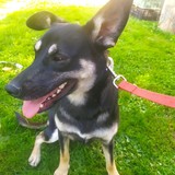 244804431_4655772821156464_8534520066101463831_n