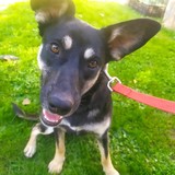 244933650_4655772657823147_2197069600207229381_n