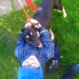 245062337_4655774944489585_8096491449029999674_n