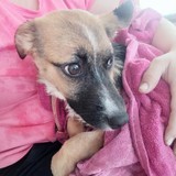 244925840_4657904360943310_3973882201413030552_n