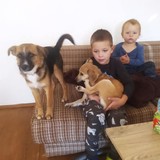 244972095_4657905217609891_3870352715559630435_n