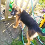 244992304_4657904624276617_6984696997066739350_n