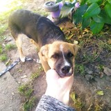 245037656_4657904797609933_1809504702843957986_n