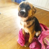 245105391_4657904210943325_6102463203038285959_n