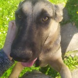 244995815_10209321955322431_3094534331416698927_n