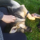 245011899_10209321952842369_975431402459274534_n