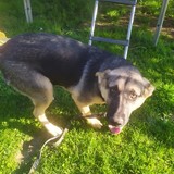 245017594_10209321953682390_4803667653196894330_n