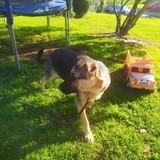 245049145_10209321954042399_8013566146169657219_n