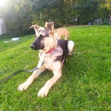 245086023_10209321951562337_6358582522652760435_n