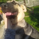 245130429_10209321954882420_2017356407688111701_n