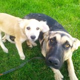 245189216_10209321951122326_1159693553701720518_n