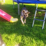 245228902_10209321954482410_4504532545055234837_n