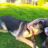 245230365_10209321952402358_1877269328126098115_n