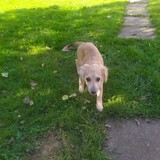 244958498_10209321923881645_6544570606732382230_n