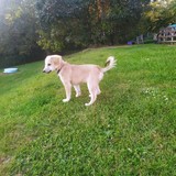 244981016_10209321927041724_7027900239099629895_n