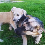 245005223_10209321928001748_372887555866454908_n