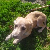 245064928_10209321926081700_5950365768995226834_n