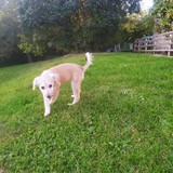 245067321_10209321927601738_8205283734523153435_n