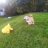 245165063_10209321926601713_4862177639298828129_n