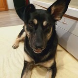 246648276_260148482717316_5456049007946227028_n