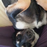 246781954_326122639301405_6340747491412621190_n