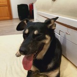 246458982_125551816452699_3738864625460395403_n