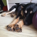 245812592_937023526911350_2696469580845586059_n