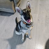 245302758_10221048608227763_7387934004950353262_n