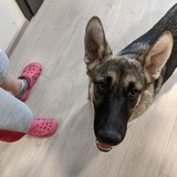 245311483_10221048611547846_6483062490394204252_n