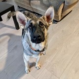 245344751_10221048605427693_5548094100745323302_n