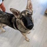 245368621_10221048613027883_5908960016929153801_n