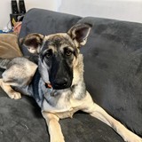 245379487_10221048606387717_6160619870854520052_n