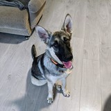 245607648_10221048607867754_4844249384741261122_n