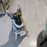 245608786_10221048608707775_8336354055550606350_n