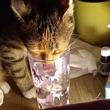 254780392_637630070572181_7458193122133056716_n