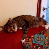 242180183_866368837602979_3260497443874606003_n