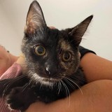 242461964_1843638152690669_5634114140894802827_n