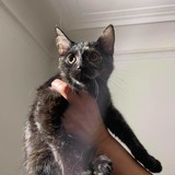 242486742_177470424528659_7182494037159493597_n