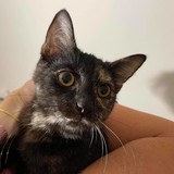 242567638_953573908833992_6886279902909841325_n