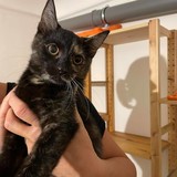 242669536_599802317708793_1649252703603171535_n