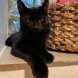 242444570_190263106545452_5804457846228215841_n