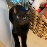 242496334_330697875474998_3088638198223767547_n