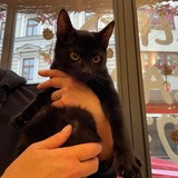 242701352_357933482748989_3412308099819401928_n