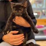 242419432_449724023042168_3363774656339233598_n