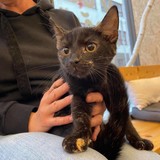 242443076_4627776480588095_855126093239165401_n