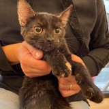 242521766_978640462993360_5933117413352967591_n