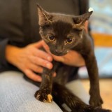 242601724_4297698937004451_6135718052462343913_n